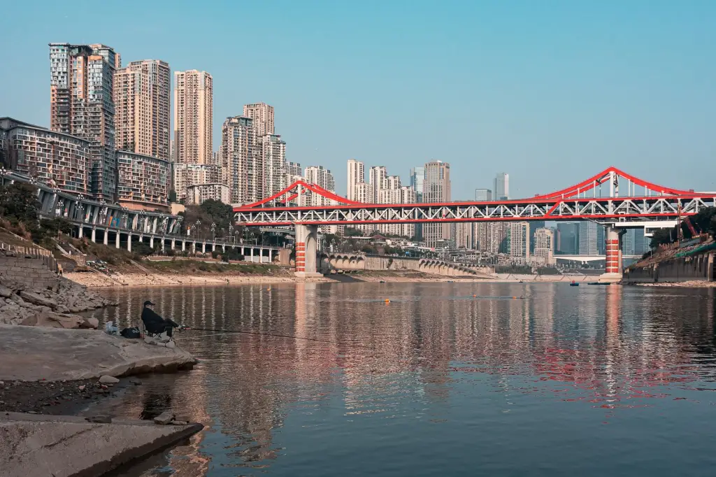 休闲游戏光盘在家庭娱乐场景中的应用方案