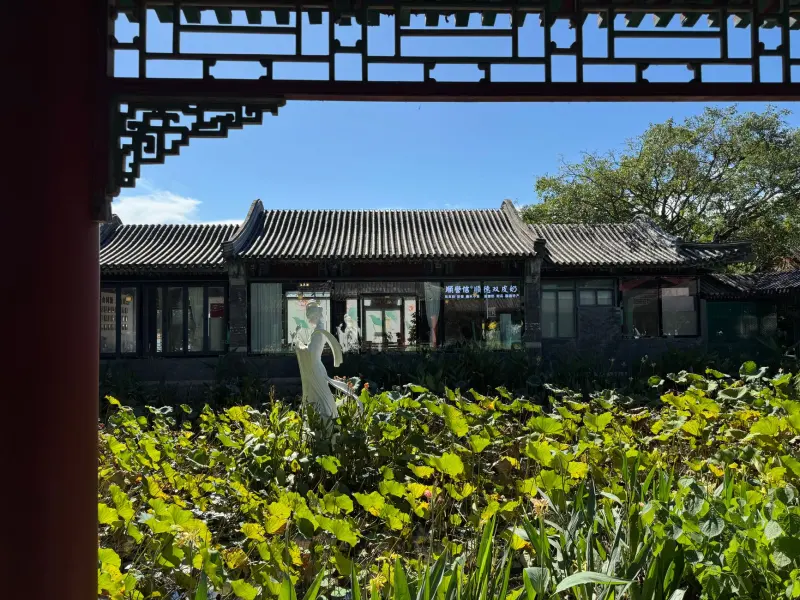 海南指尖悦动手机游戏光盘全系列产品规格与兼容性详解正文配图 1