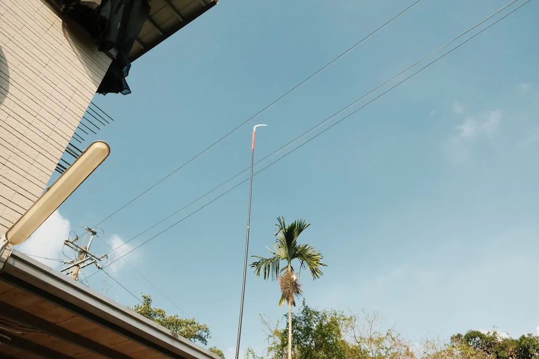 手机游戏光盘选购指南：从休闲到棋牌游戏的品质选择