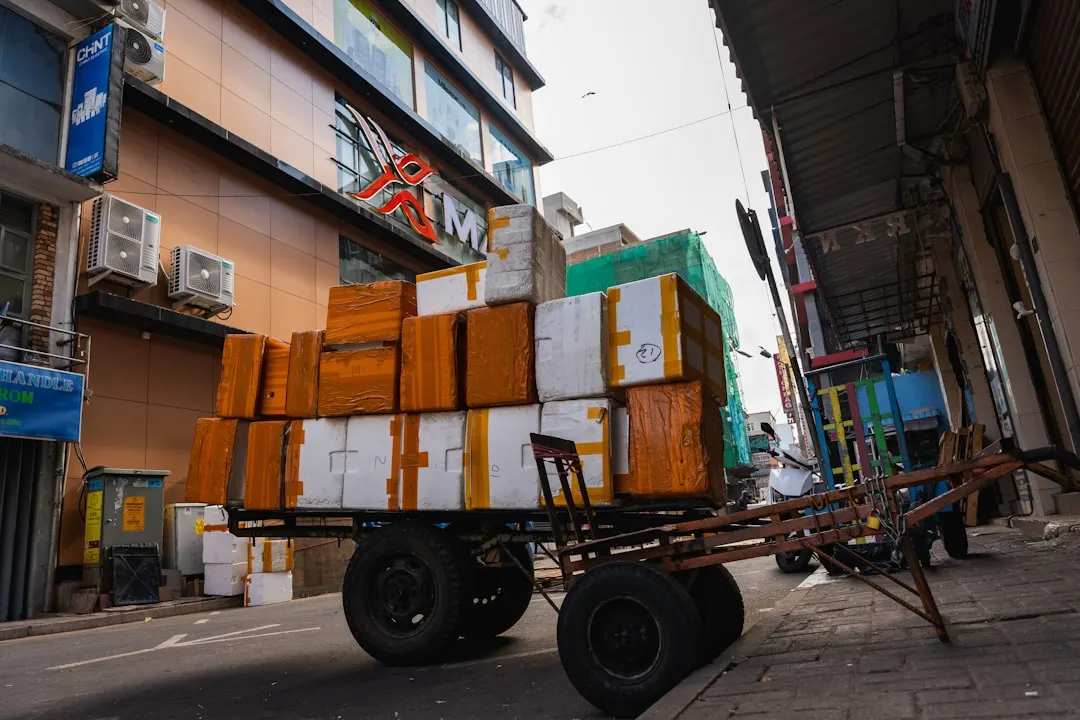 休闲游戏光盘与棋牌游戏光盘的产品选型对比指南